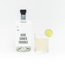 Load image into Gallery viewer, I Love My Family Rocks Glass