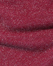 Load image into Gallery viewer, Shimmer Long Sleeve Top