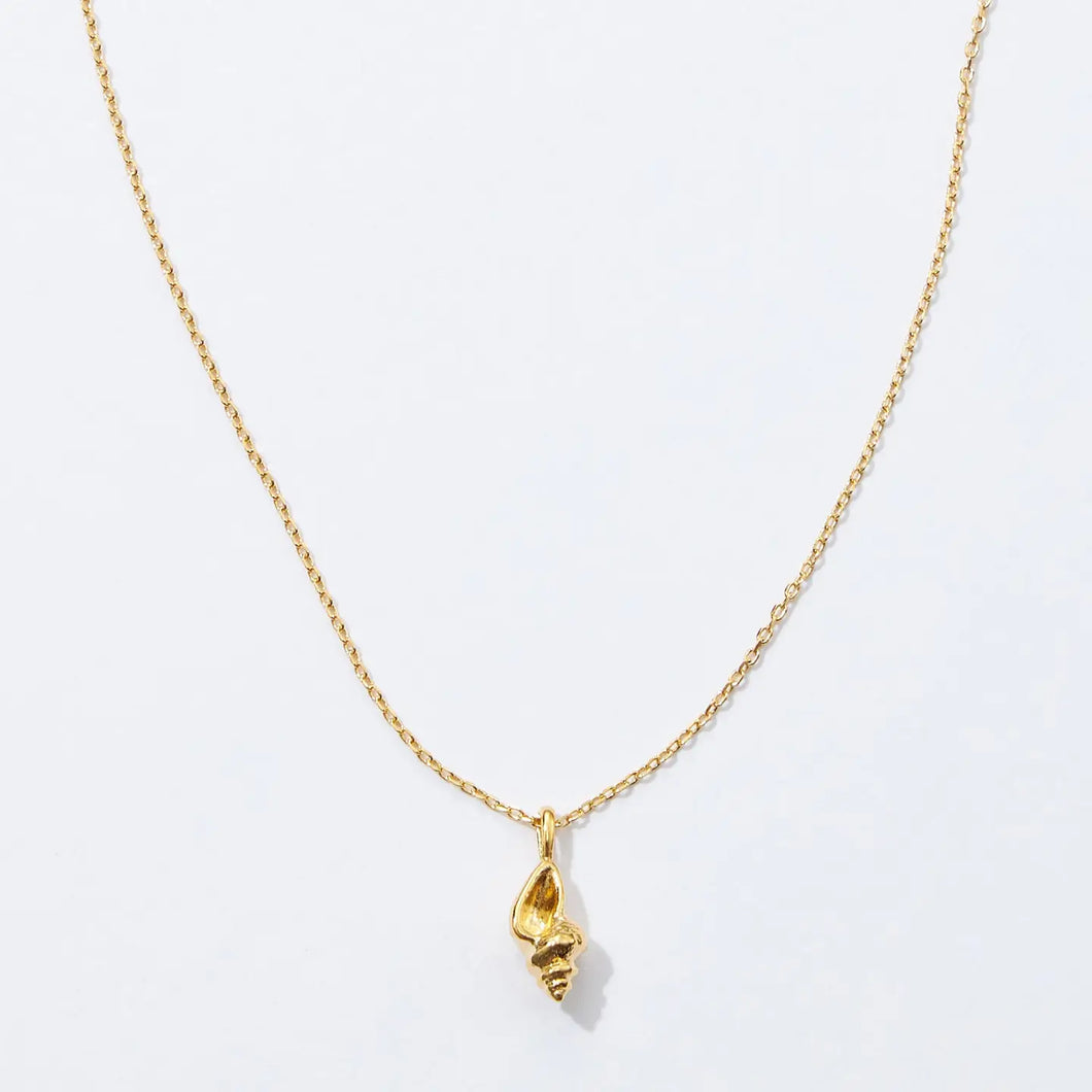 Gold Sea Shell Necklace