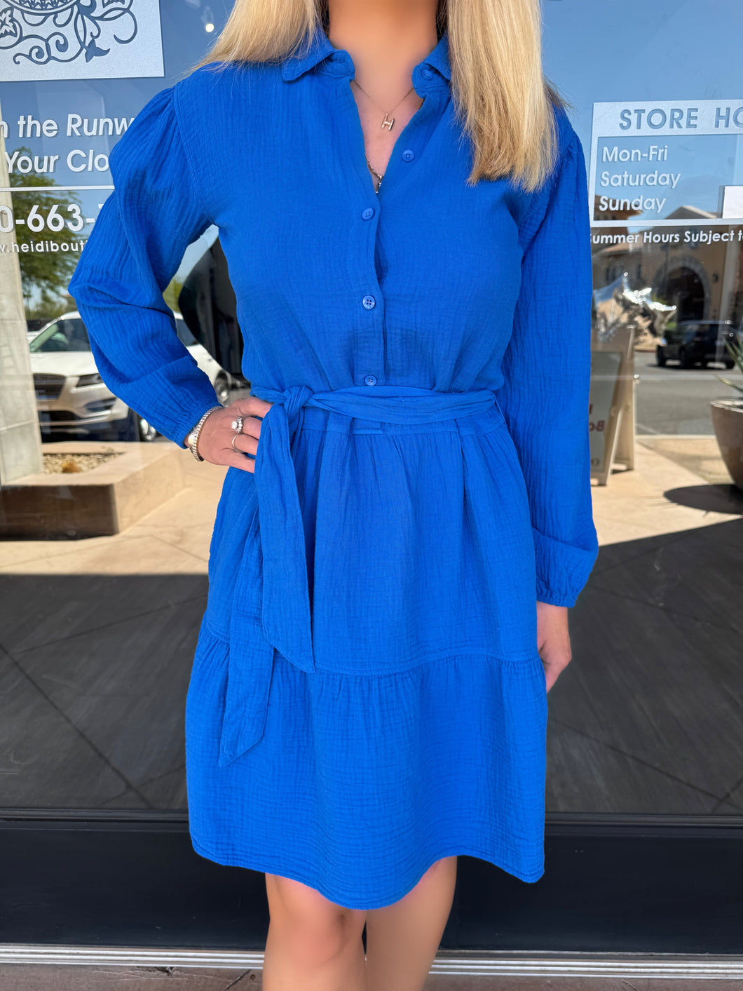 Balloon Sleeve Collared Tiered Dress