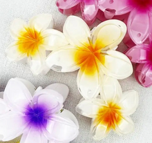 Load image into Gallery viewer, White Hawaiian Plumeria Flower Hair Clips
